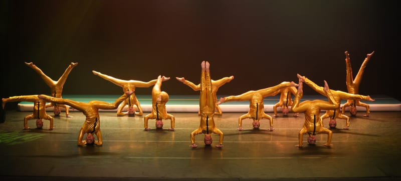 CALISTHENICS ACRO at Allstars Studio, photo 7
